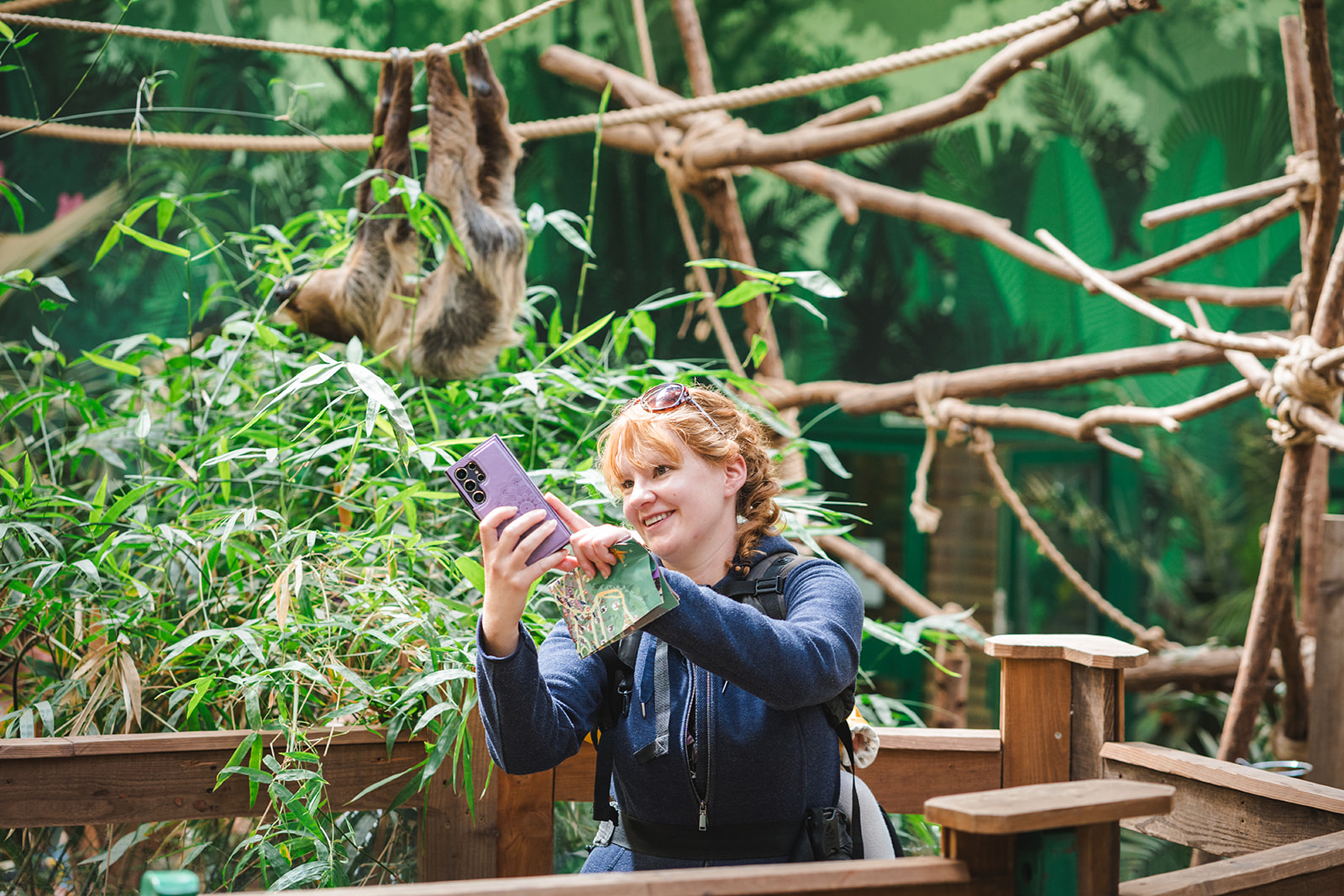 Edinburgh Zoo keeper experience with linnes two-toed sloth IMAGE: Rachel Hein 2024